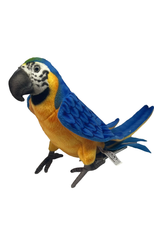 Macaw