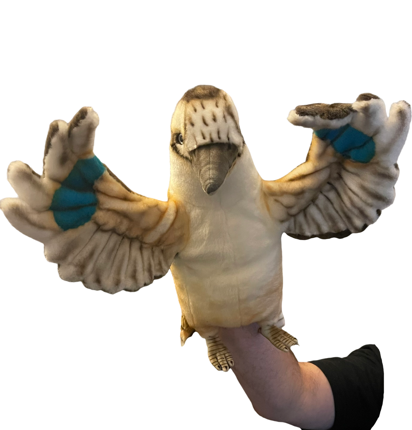 Kookaburra Arm Puppet