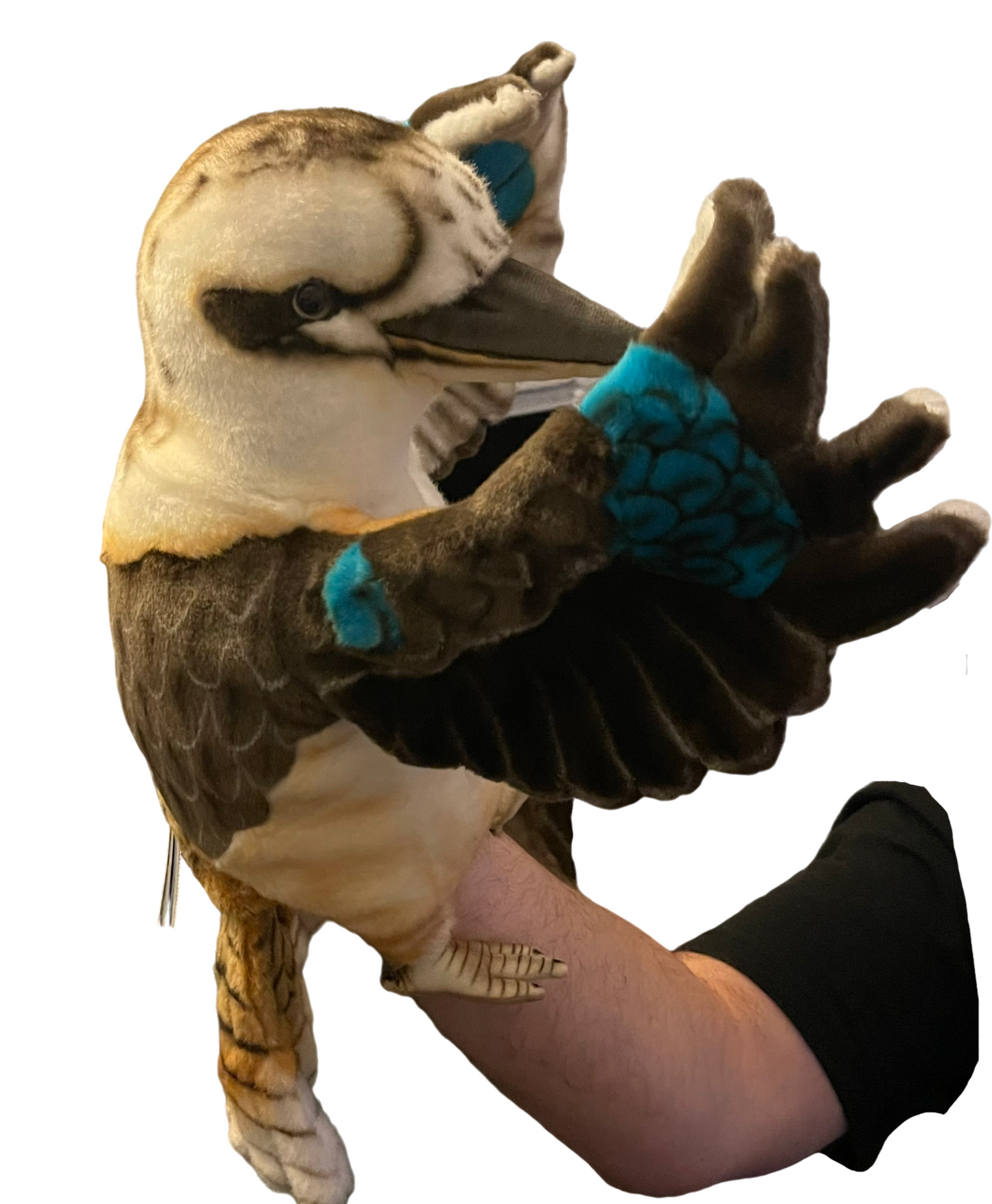 Kookaburra Arm Puppet