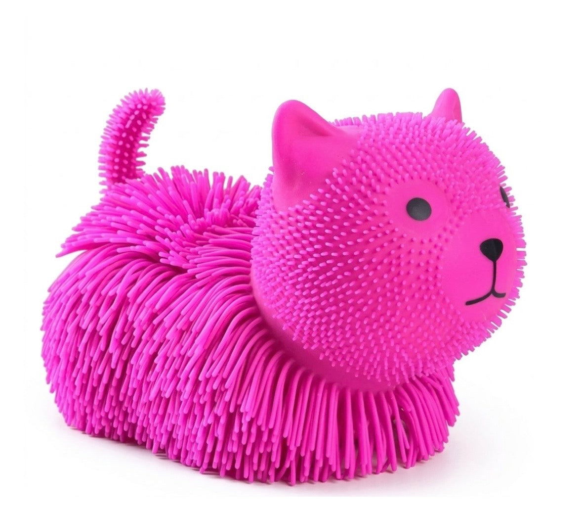 Jiggly Animals and Balls
