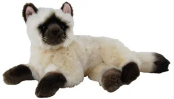 Siamese Lying Cat