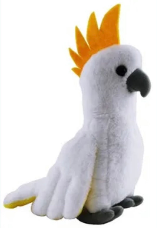 Sulphur Crested Cockatoo with Sound