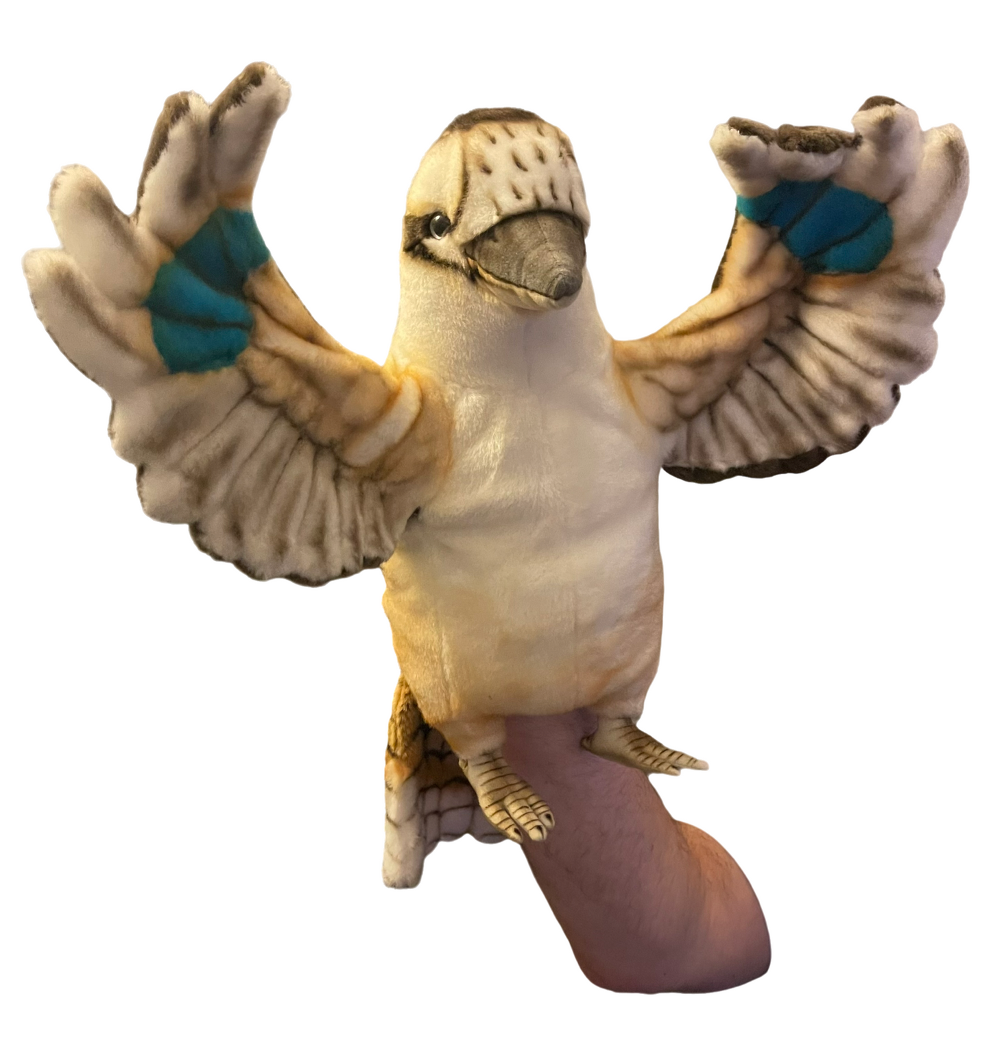 Kookaburra Arm Puppet