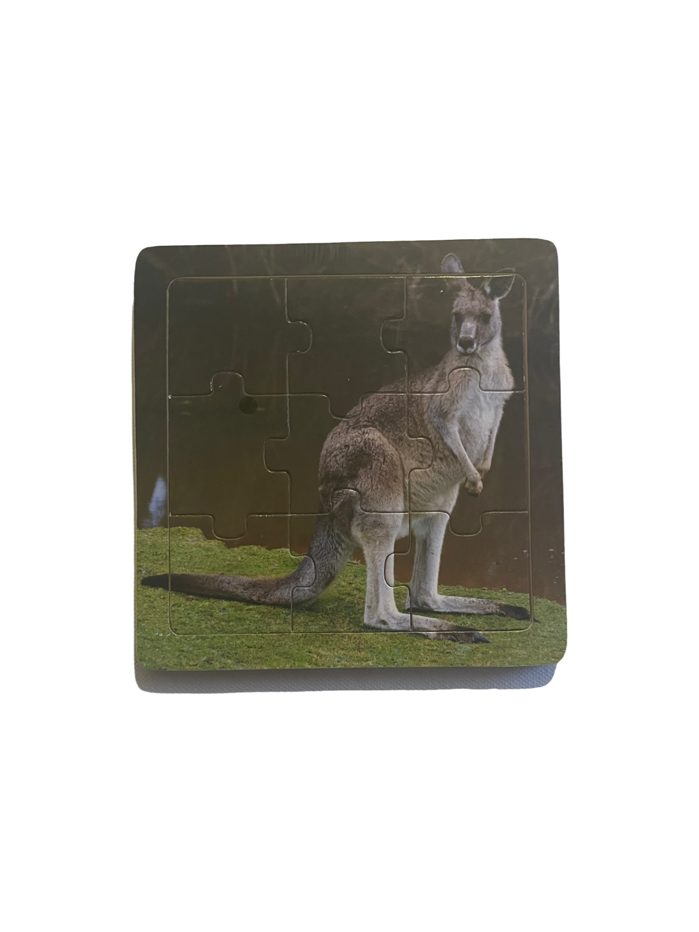 Australian Animals Jigsaw - 9 piece