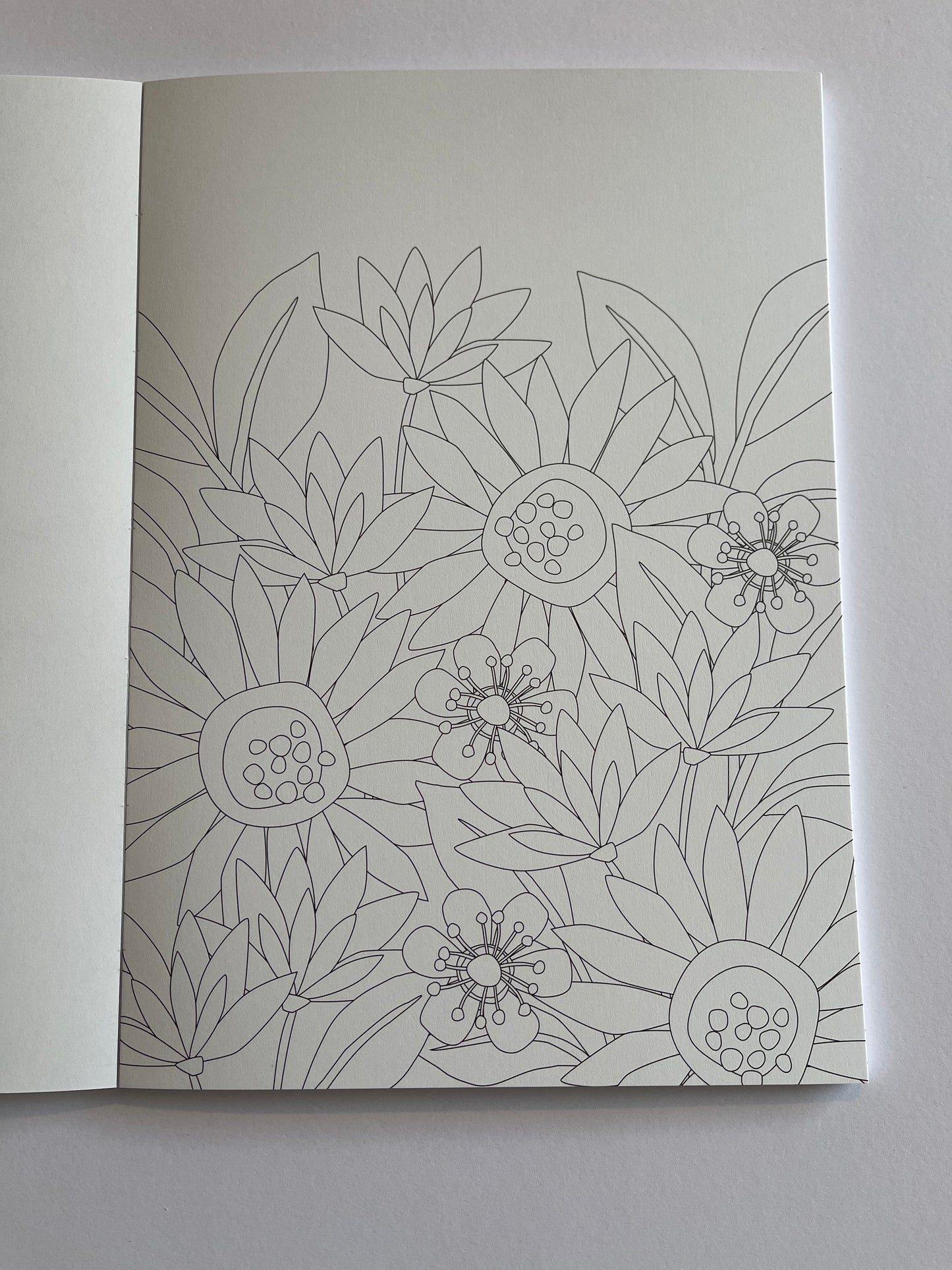 Flowers - Colouring Book