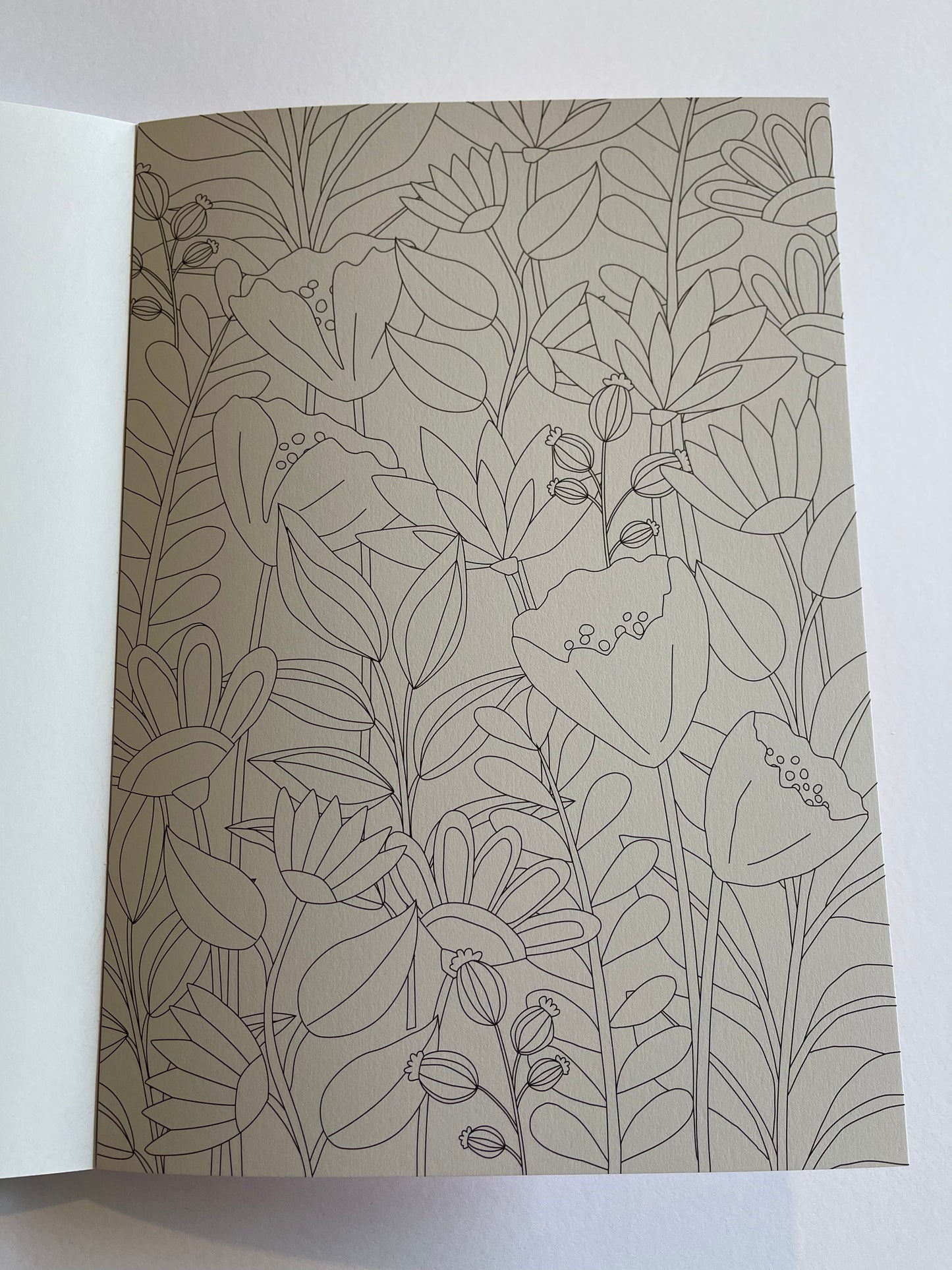 Flowers - Colouring Book